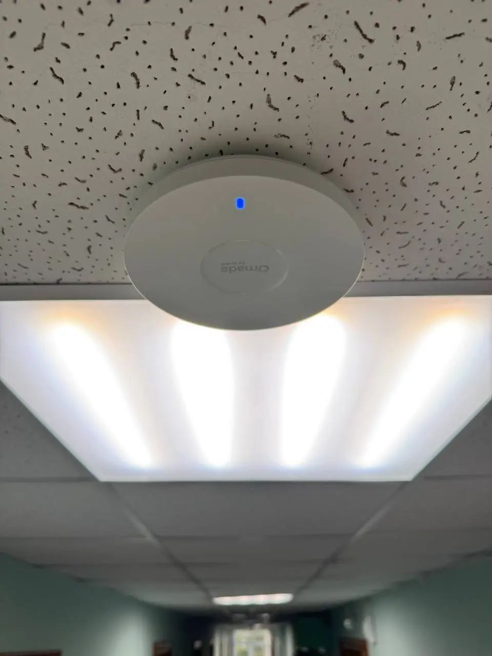 Установленная точка доступа Wi‑Fi 6 TP-Link EAP613